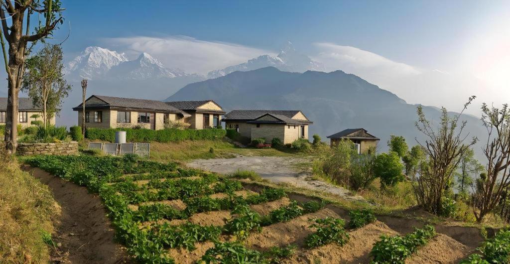 Hananoie - A Permaculture Resort Pokhara Exterior foto